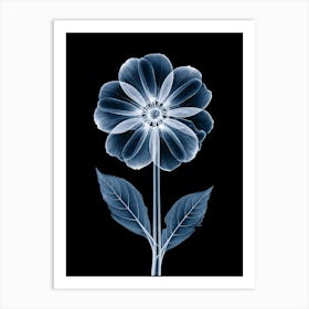 X-Ray Flower 2 Art Print