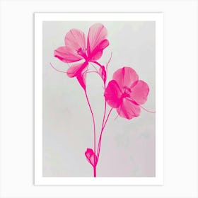 Hot Pink Veronica Flower 2 Art Print