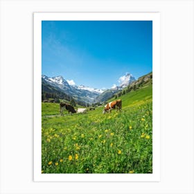 Cows Grazing In A Meadow Art Print