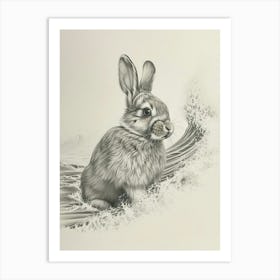 French Lop Rabbit Drawing 3 Art Print