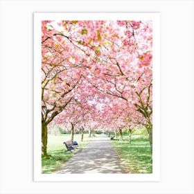 Park Blossom Art Print