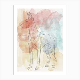 Pastel Watercolour Pharaoh Hound Dog Line Illustration 1 Art Print