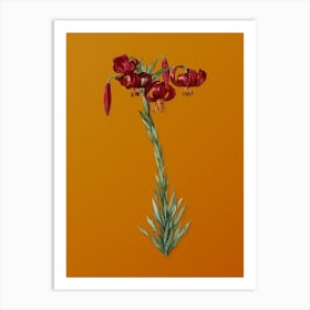 Vintage Lily Botanical on Sunset Orange n.0203 Art Print