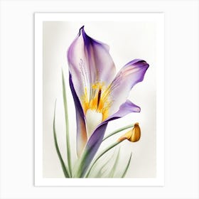 Mariposa Lily Wildflower Watercolour 1 Art Print