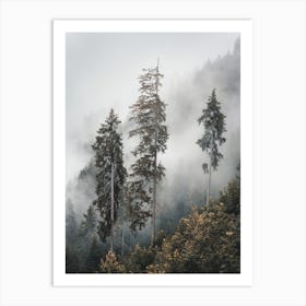 Three Foggy Pines Art Print