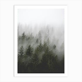 Misty Forest Pacific Northwest Art Print