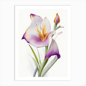 Mariposa Lily Wildflower Watercolour 2 Art Print