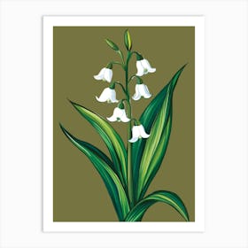 Lily Of The Valley 12 Art Print