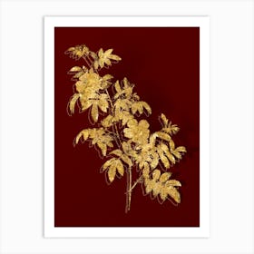 Vintage Musk Rose Botanical in Gold on Red n.0594 Art Print