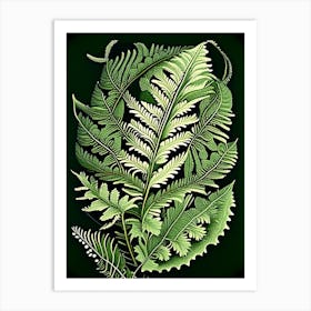 Lady Fern Wildflower Vintage Botanical 2 Art Print