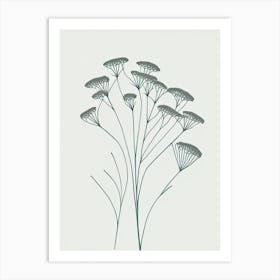 Queen Anne S Lace Flower Art Print