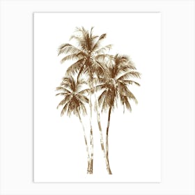 Palm Trees 6 Art Print