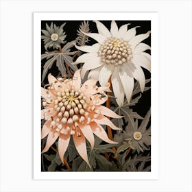 Flower Illustration Edelweiss 4 Art Print