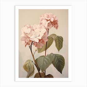 Floral Illustration Hydrangea 2 Art Print