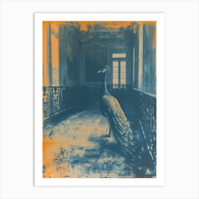 Orange & Blue Peacock In A Palace Art Print