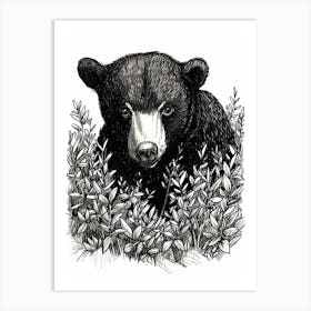 Malayan Sun Bear Hiding In Bushes Ink Illustration 3 Art Print