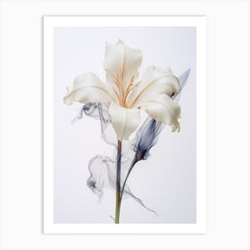 Pressed Flower Botanical Art Lily 2 Art Print