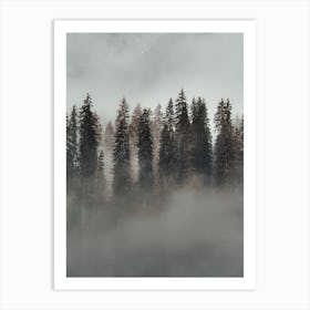 Foggy Evergreen Forest Art Print