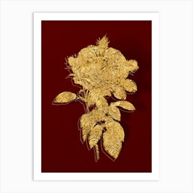 Vintage Giant French Rose Botanical in Gold on Red n.0123 Art Print
