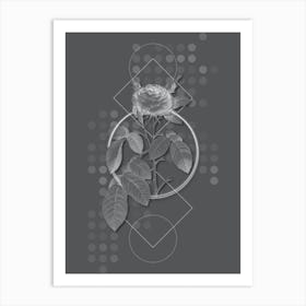 Vintage Red Gallic Rose Botanical with Line Motif and Dot Pattern in Ghost Gray n.0213 Art Print