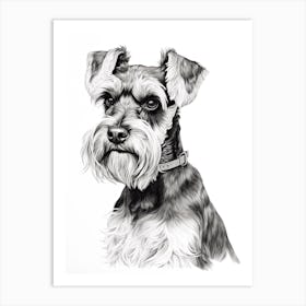 Miniature Schnauzer Dog, Line Drawing 2 Art Print