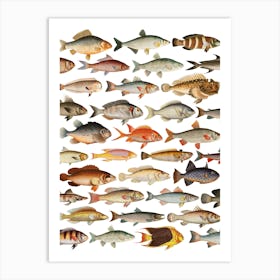 Fishes Art Print