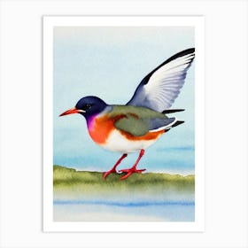 Common Tern Watercolour Bird Art Print