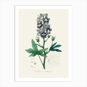 Vintage Botanical John Stephenson and James Morss Churchill Art Print_2731662 Art Print