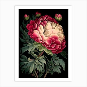 Monsieur Jules Elie Peonies Pink Vintage Botanical Art Print
