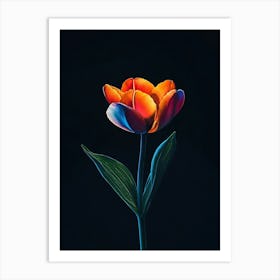 Tulip 6 Art Print