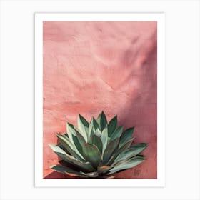 Agave 3 Art Print