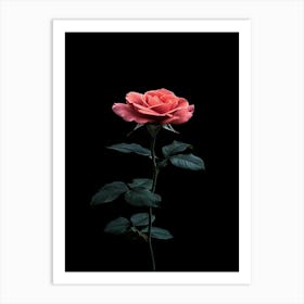 Single Rose On Black Background 59 Art Print