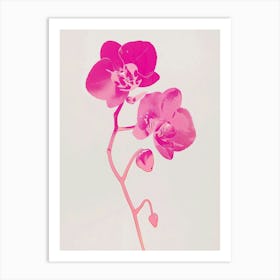 Hot Pink Monkey Orchid 2 Art Print