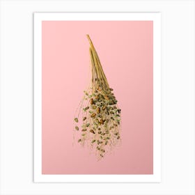 Vintage Normal Spadice of the Palm Botanical on Soft Pink n.0219 Art Print