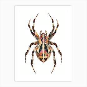 Colourful Insect Illustration Spider 16 Art Print