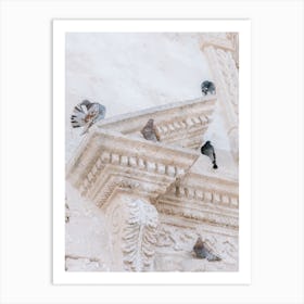 Pigeons On The Church Art Print