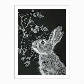 English Lop Rabbit Minimalist Illustration 3 Art Print