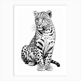 Leopard Drawing Art Print