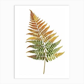 Vintage Illustration Autumn Fern 4 Art Print