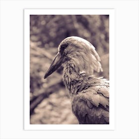 Black And White Bird Art Print