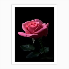 Pink Rose On Black Background 2 Art Print