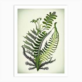 Mountain Spleenwort 1 Vintage Botanical Poster Art Print