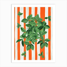 Basil Summer Illustration 12 Art Print