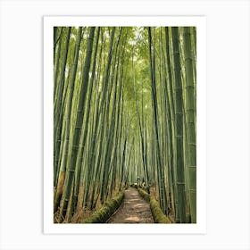 Bamboo Forest Art Print