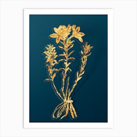 Vintage Lily of the Incas Botanical in Gold on Teal Blue n.0299 Art Print