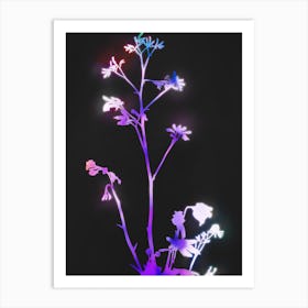 Florescence Purple Art Print