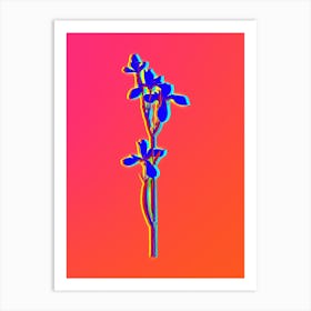 Neon Siberian Iris Botanical in Hot Pink and Electric Blue n.0409 Art Print