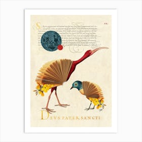 Book bird Art Print