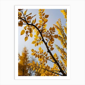 Autumn Leaves Photo Art Print