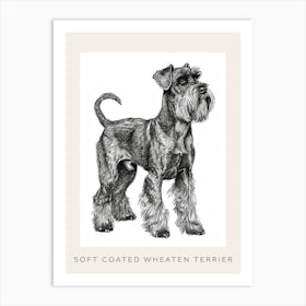 Soft Coated Wheaten Terrier Dog Line Sketch 1 Poster Art Print